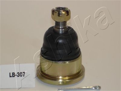 Balst-/Virzošais šarnīrs ASHIKA 53-03-307