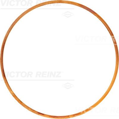 Blīve, Motora bloka galva VICTOR REINZ 61-25755-10