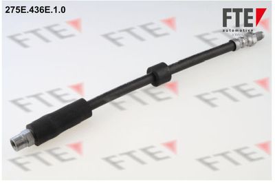 Тормозной шланг FTE 9240123