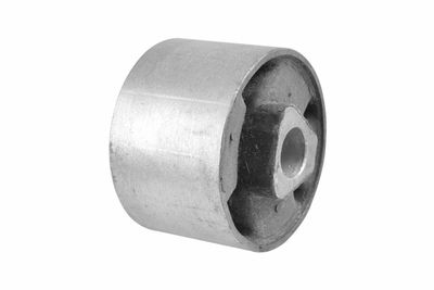 Piekare, Šķērssvira TEDGUM 00088653