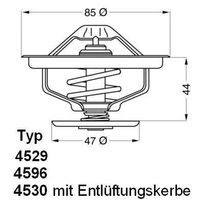 Termostats, Dzesēšanas šķidrums BorgWarner (Wahler) 4529.70