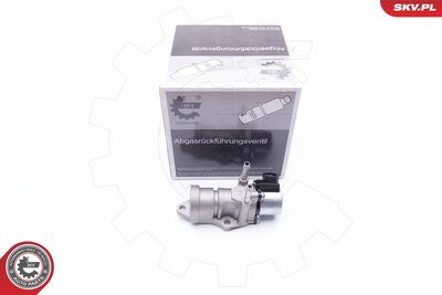 Клапан возврата ОГ ESEN SKV 14SKV188