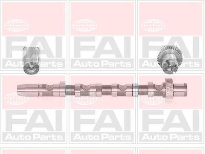 Распредвал FAI AUTOPARTS C244