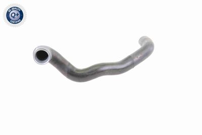 Шланг радиатора VAICO V30-1651