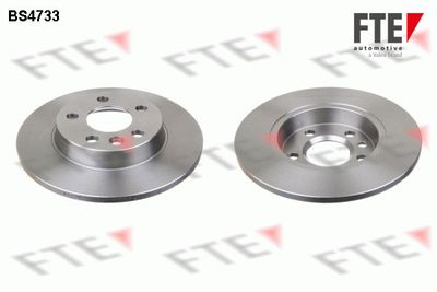 Тормозной диск FTE 9072554