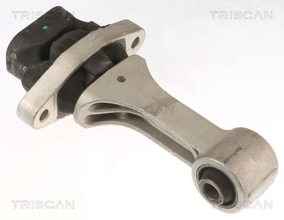 Подвеска, двигатель TRISCAN 850 543 109