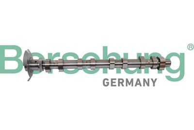 Распредвал Borsehung B11320