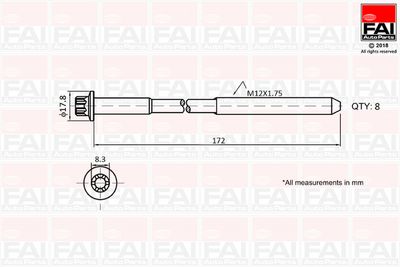 Комплект болтов головки цилидра FAI AutoParts B1060