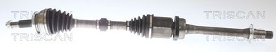 Piedziņas vārpsta TRISCAN 8540 13576