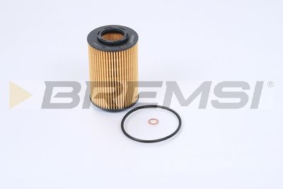 Масляный фильтр BREMSI FL0687