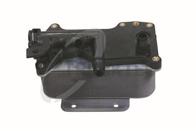 Eļļas radiators, Automātiskā pārnesumkārba TRUCKTEC AUTOMOTIVE 08.25.057