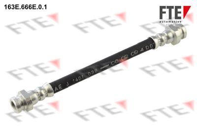 Тормозной шланг FTE 9240881