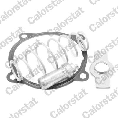 Termostats, Dzesēšanas šķidrums CALORSTAT by Vernet TH7313.79J