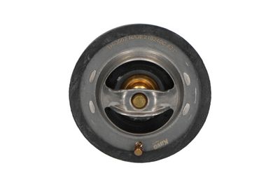 Termostats, Dzesēšanas šķidrums KAVO PARTS TH-3002