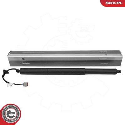 Электромотор, задняя дверь ESEN SKV 52SKV996