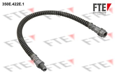 Тормозной шланг FTE 9240519