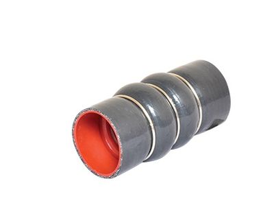 Pūtes sistēmas gaisa caurule BUGIAD 88641