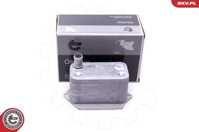 масляный радиатор, двигательное масло ESEN SKV 31SKV221