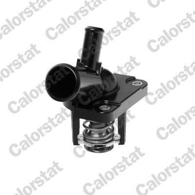 Termostats, Dzesēšanas šķidrums CALORSTAT by Vernet TH7410.82J