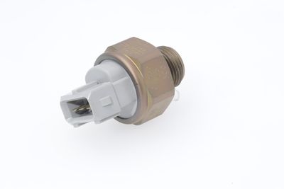Survelüliti,pidurihüdraulika BOSCH 0 265 005 300