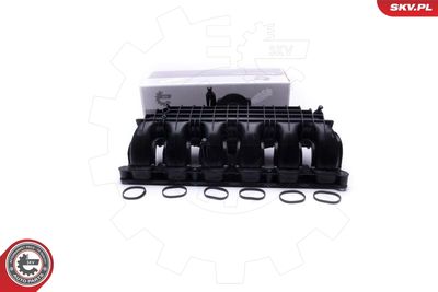 Модуль впускной трубы ESEN SKV 49SKV064