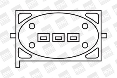Aizdedzes spole BorgWarner (BERU) ZS239