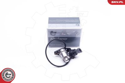 Devējs, Motoreļļas līmenis ESEN SKV 17SKV405