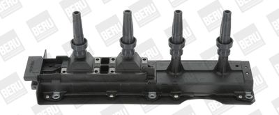 Aizdedzes spole BorgWarner (BERU) ZS256