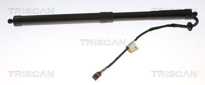 Gaasivedru, pagasi-/veoruum TRISCAN 871 017 303