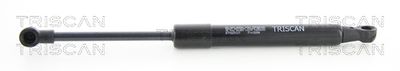 Gāzes atspere, Motora pārsegs TRISCAN 871 025 107