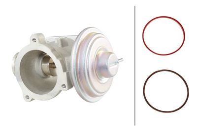 Клапан возврата ОГ HELLA 6NU 010 171-701