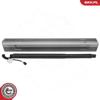 Электромотор, задняя дверь ESEN SKV 52SKV201