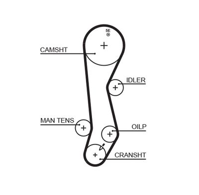 Zobsiksna GATES 5389XS