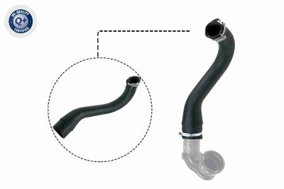 Pūtes sistēmas gaisa caurule VAICO V40-1498