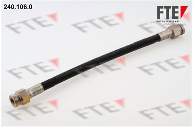 Тормозной шланг FTE 9240091