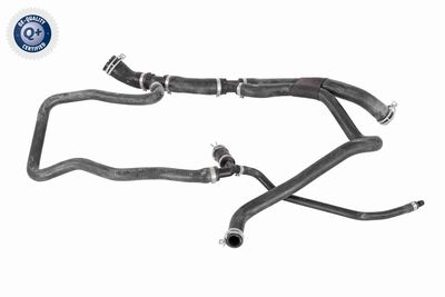 Radiatora cauruļvads VAICO V30-3364