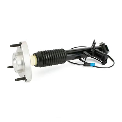Amortizators Arnott SK-3817