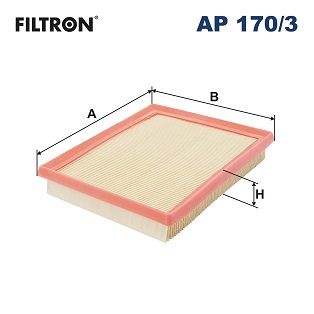 Воздушный фильтр FILTRON AP 170/3