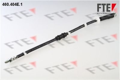Тормозной шланг FTE 9240283