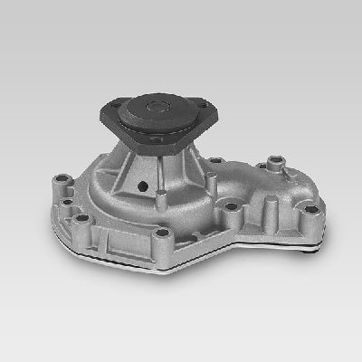 Ūdens sūknis, dzinēja dzesēšana HEPU P820