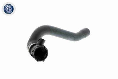 Шланг радиатора VAICO V20-1924