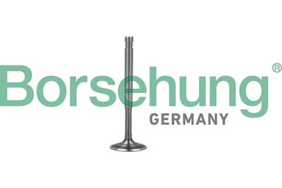 Выпускной клапан BORSEHUNG B19010