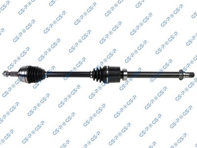 Piedziņas vārpsta GSP 203876