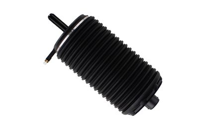 Pneimoatspere, Balstiekārta BILSTEIN 40-249841