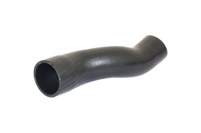 Pūtes sistēmas gaisa caurule BUGIAD 88805