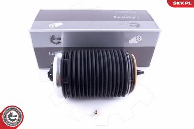 Pneimoatspere, Balstiekārta ESEN SKV 58SKV017