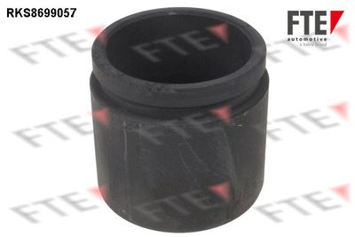 Поршень, корпус скобы тормоза FTE 9313510