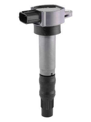 Катушка зажигания BorgWarner (BERU) ZSE310