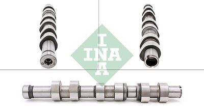 Распредвал Schaeffler INA 428 0171 10