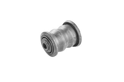 Piekare, Šķērssvira TEDGUM 00223639